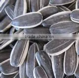 Wholesale Bird Seed thumbnail-1