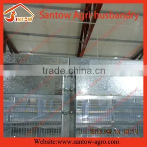 High Quality Hot Sale Cheap Hot Dipped Galvanized Wire Mesh Broiler Wire Cage thumbnail-5