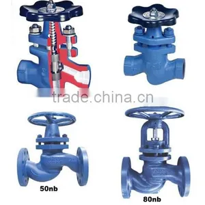 Glandless Piston Valve thumbnail-1