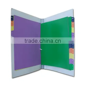 Ministry of Health Divider Files/File Folders With U-clip (BLY8-2047PPMF) thumbnail-2