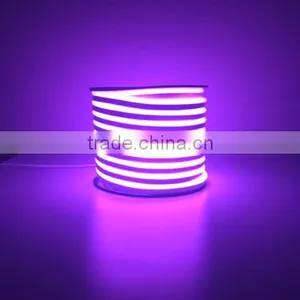 Manufacturer for Neon Decoration Light Led Neon Flex Rgb thumbnail-5