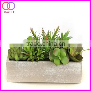 Wholesale Plastic Mini Artificial Succulent Plant in Pot for Garden Decoration thumbnail-1