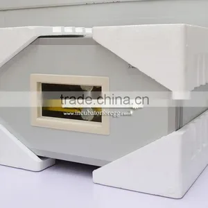 Mini Egg Incubator 100 Egg Incubator Price in Tanzania thumbnail-1