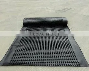 HDPE Waterproofing Geomembrane thumbnail-1