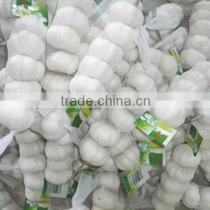2013 Crop Natural Garlic ,good Quality New Garlic thumbnail-1