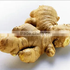 Fresh Ginger/market Prices for Ginger/dried Ginger Bulk Fresh Ginger thumbnail-1