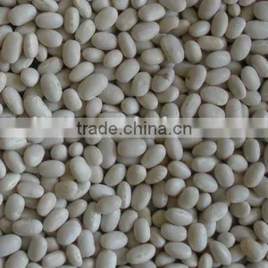 Japanese Style White Kidney Beans thumbnail-1