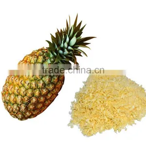 100% Natural Pineapple Fruit Extract Powder Bulk Pineapple Fruit Juice Concentrate Powder thumbnail-1