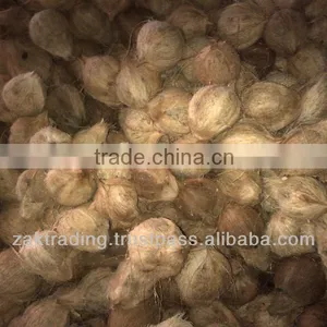 Fresh Mature Coconut thumbnail-3