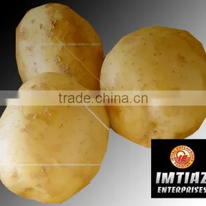 Fresh Potato thumbnail-1