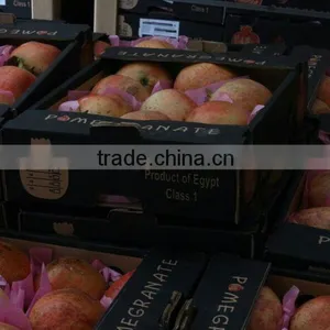 Fresh Sweet Pomegranate Crops 2015 thumbnail-3