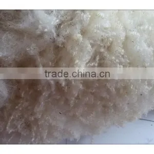 Australia Clipped Greasy Raw Wool thumbnail-1