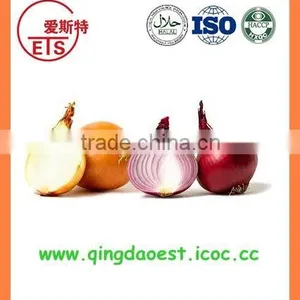 Export Bulk China Best Quality Fresh Products Onion thumbnail-5