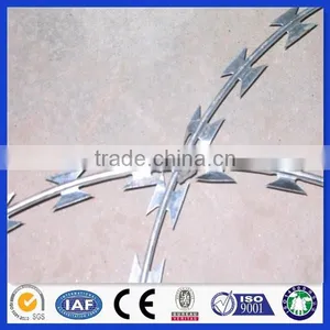 ISO 9001-2008 Professional Galvanized Concertina Razor Barbed Wire, Razor Barbed Wire, Razor Wire thumbnail-2