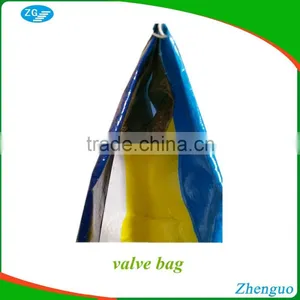 Customized Design pp Woven Valve Bag for Putty Powder thumbnail-2