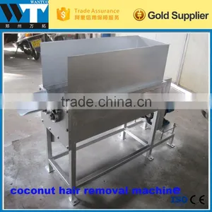 Factory Price Old Coconut Brown Skin Peeling Machine for Tropical Fruits thumbnail-6