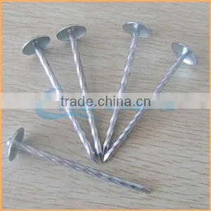 Manufacture High Quality Low Price Iron Nails Hard Drawn Wire 2.1mm for Making Nails thumbnail-4