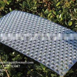 434 Holes Transparent Plastic Paddy Seed Starting Tray for Rice Propagation/Parachute Seedling Trays thumbnail-3