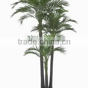 SJ12000357 Landscaping Decorative Outdoor Areca Palm thumbnail-1