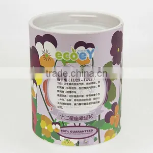 Fashion Twelve Constellations Lucky Flower Potted Plant -Butterfly thumbnail-1