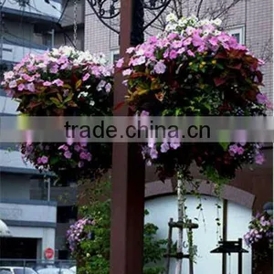 SOL Easy-assembled Fruit Planter Garden Decor Hanging Plant Pot thumbnail-5