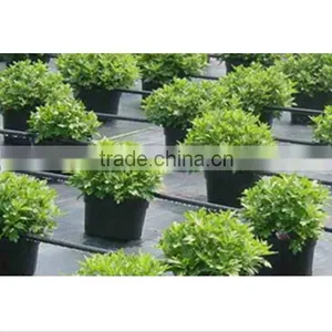 Anti uv Plastic Eco Friendly Waterproof Fabric Ground Cover thumbnail-4