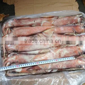 200-300g Frozen Seafood Japanese Flying Squid thumbnail-1