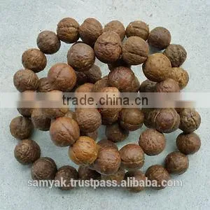 Buddha Chitta 13 Beads Bodhi Seed Genuine Indonesian Phoenix Eye Mala Phrengba thumbnail-1