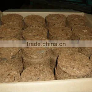 Coco Chips Disks thumbnail-1
