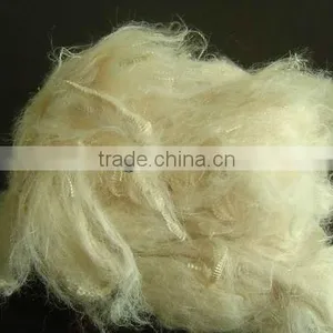 Functional Fiber Hot Selling Soybean Fiber thumbnail-1