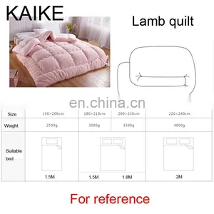 Wholesale Custom Warm Lamb Fleece Baby Bed Quilt thumbnail-6