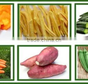 Automatic Fruit and Vegetable Chips Vacuum Frying Machine Quality Choice thumbnail-6