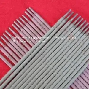Stainless Steel Electrode thumbnail-4