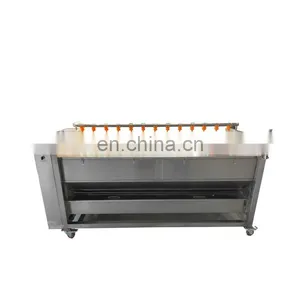 Vegetable Washing Machine thumbnail-1