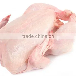 Frozen Chicken Meat - All Cuts thumbnail-1