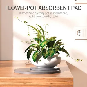 Absorbent Quick Dry Diatomaceous Earth Stone Plant Coasters Manufacturer thumbnail-3
