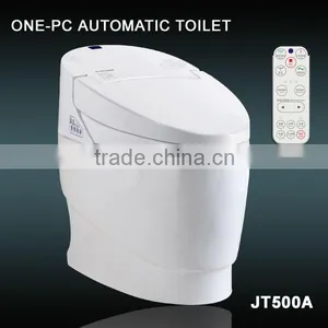 JT500A Western Electric Toilet thumbnail-1