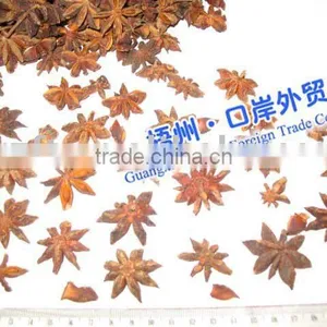 3-23 Star Aniseed Stemless thumbnail-1