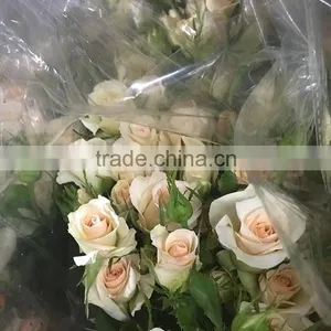 New OEM Fresh Rose Flower thumbnail-3