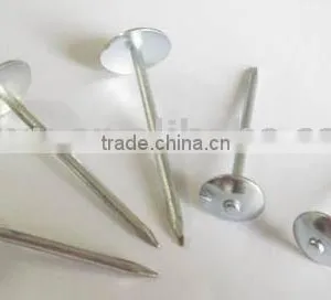 Galvanized Roofing Nails With Umbrella Head thumbnail-1