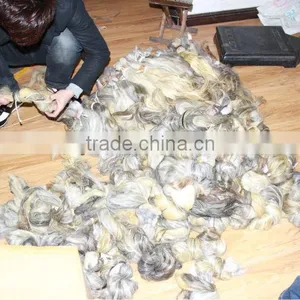 Grey Hair Bulk Unprocessed Virgin Hair Extension Raw Hair Bulk thumbnail-3
