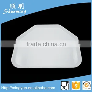 Hard Plastic Tray thumbnail-1