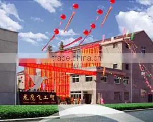 Yongkang Longyingfei Industry & Trading Co., Ltd. company overview - view 1 thumbnail