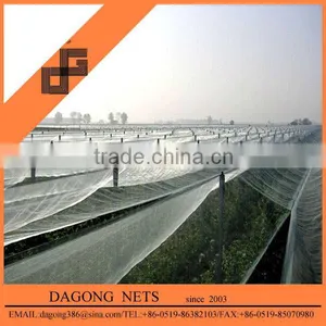 Good Quality Anti Hail Mesh for Agriculture thumbnail-1