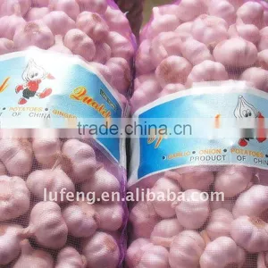 Normal White Garlic thumbnail-1