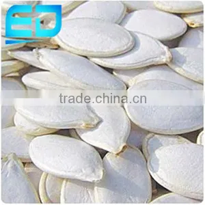 Pure White Pumpkin Seeds, Snow White From China thumbnail-1