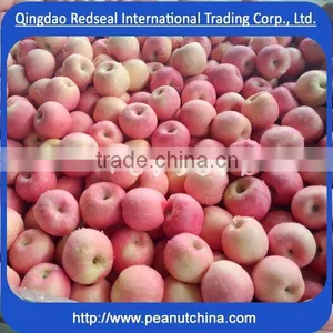 Bright Fuji Red Apple thumbnail-6