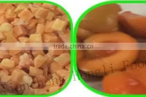 IQF and Frozen Apricot thumbnail-1