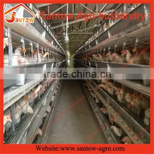 Stable Steel Structure Chicken Egg Layer Cage Chicken House Floor thumbnail-1