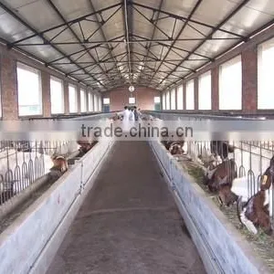 Steel Structure Horse House thumbnail-5